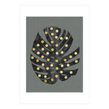 Monstera Deliciosa V (Print Only) thumbnail