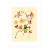 Orchids #1 (Print Only) thumbnail