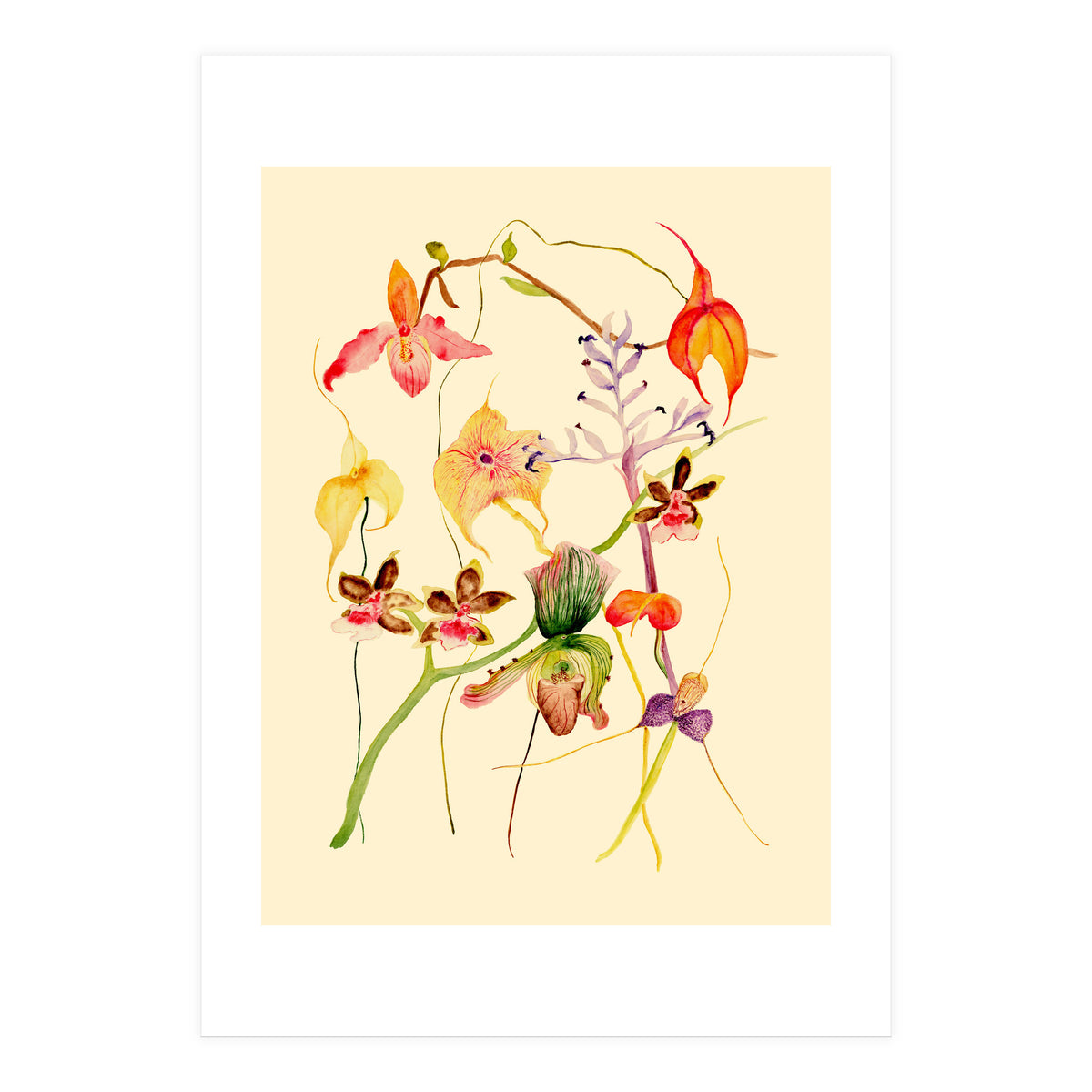 Orchids #1 (Print Only)
