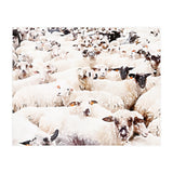 The Herd (Print Only) thumbnail