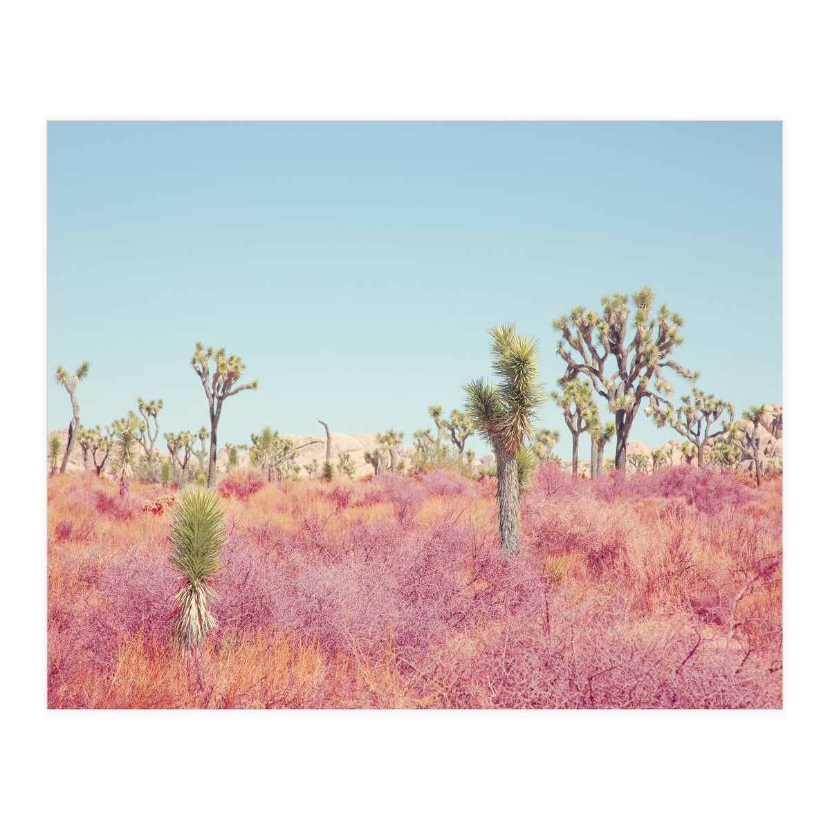 Surreal Desert (Print Only)