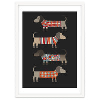 Sausage Dogs In Sweaters Dark