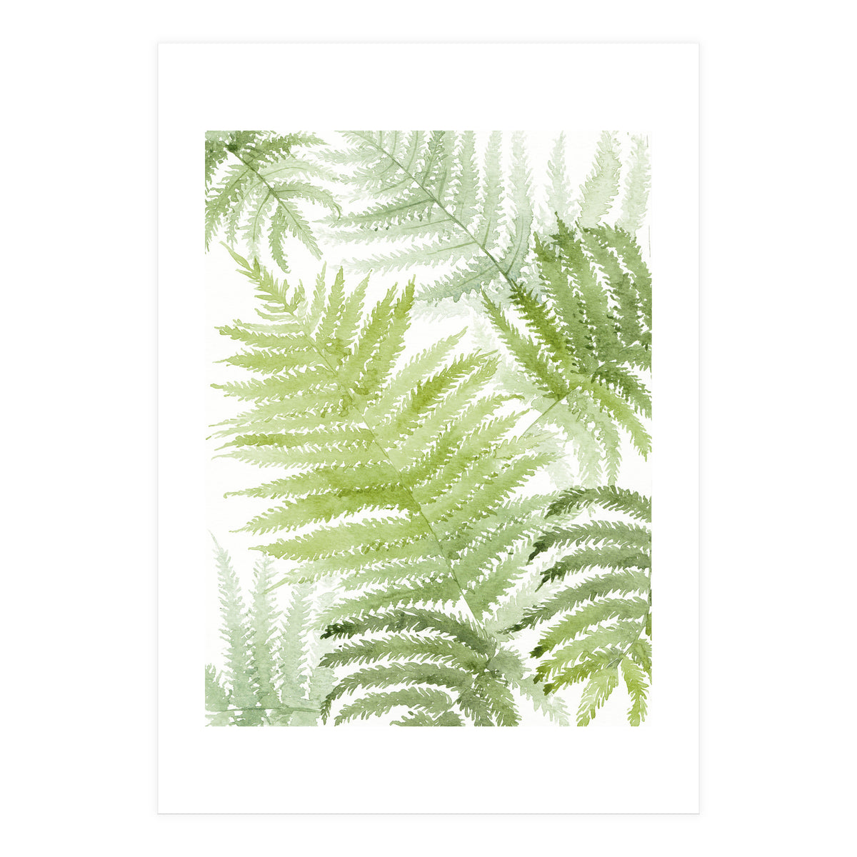 Samambaia  (Print Only)