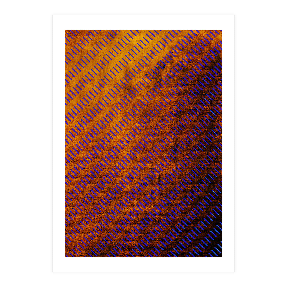 2 Edit Fire (Print Only)