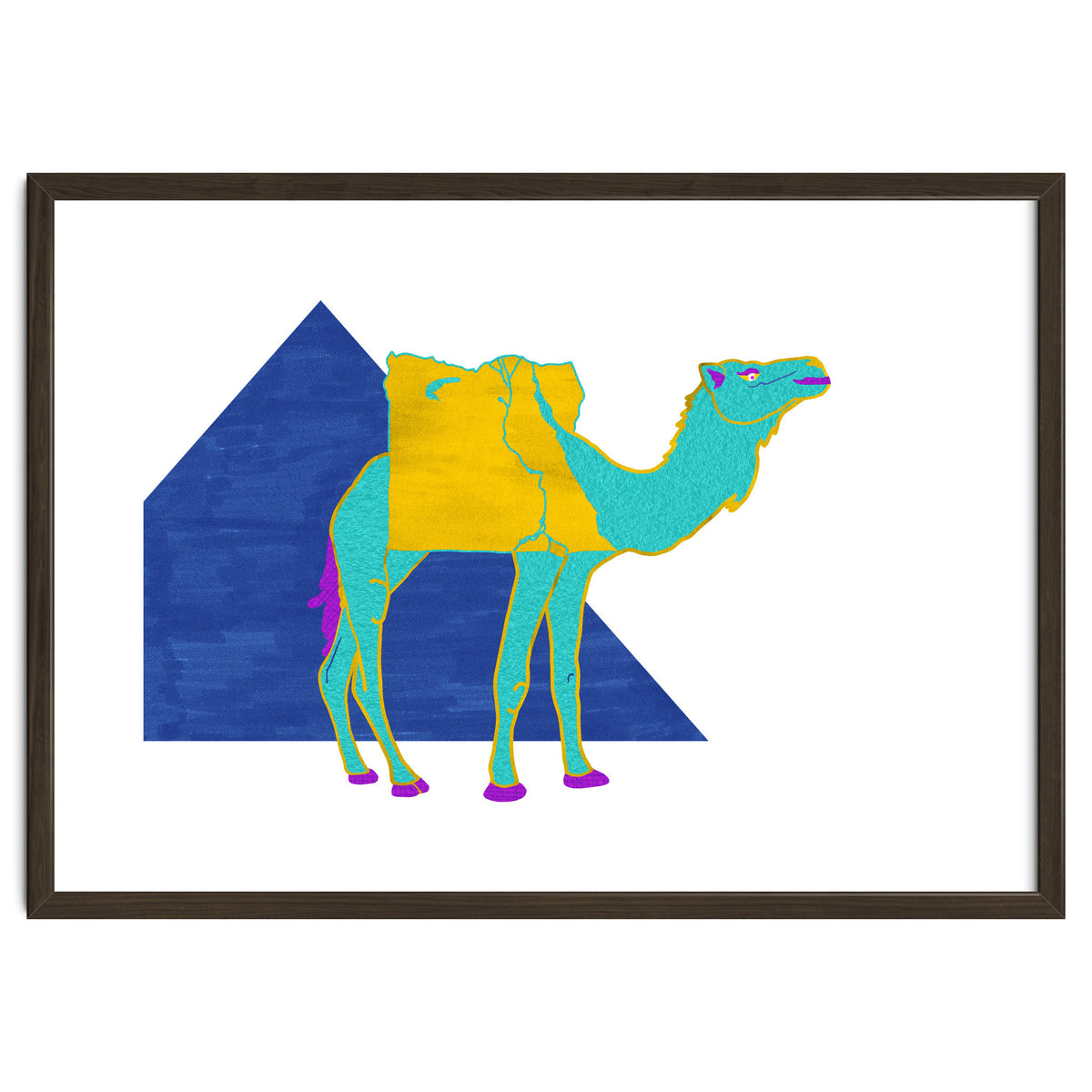 Egyptian Dromedary