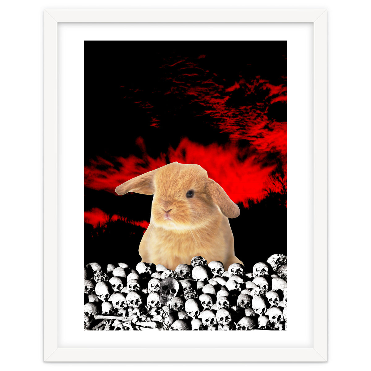 Bunny Of The Apocalypse