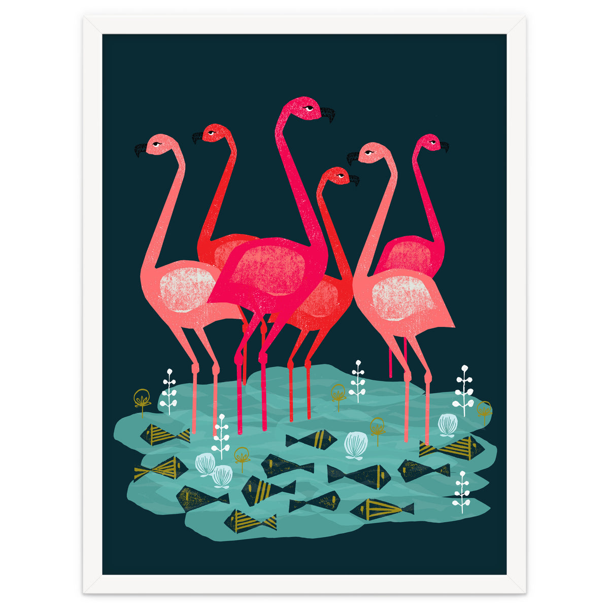 Flamingo