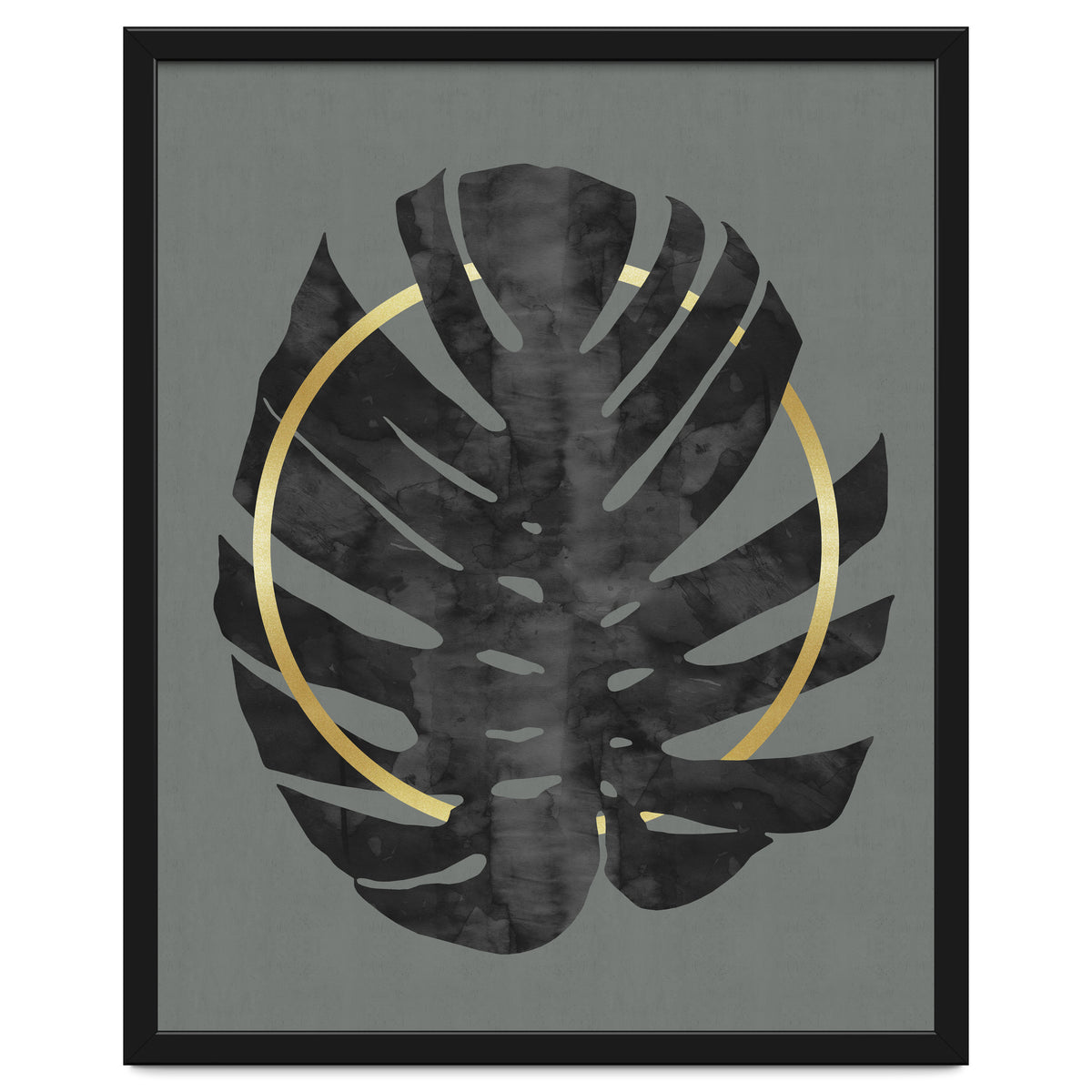 Monstera Deliciosa I