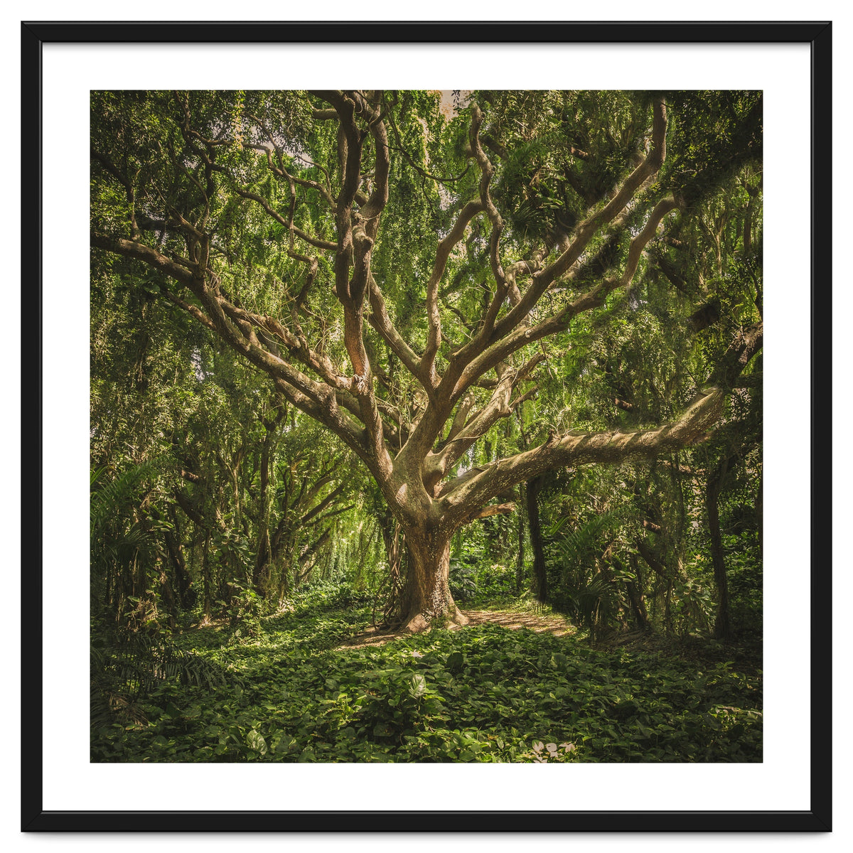 Spirits inside the wood