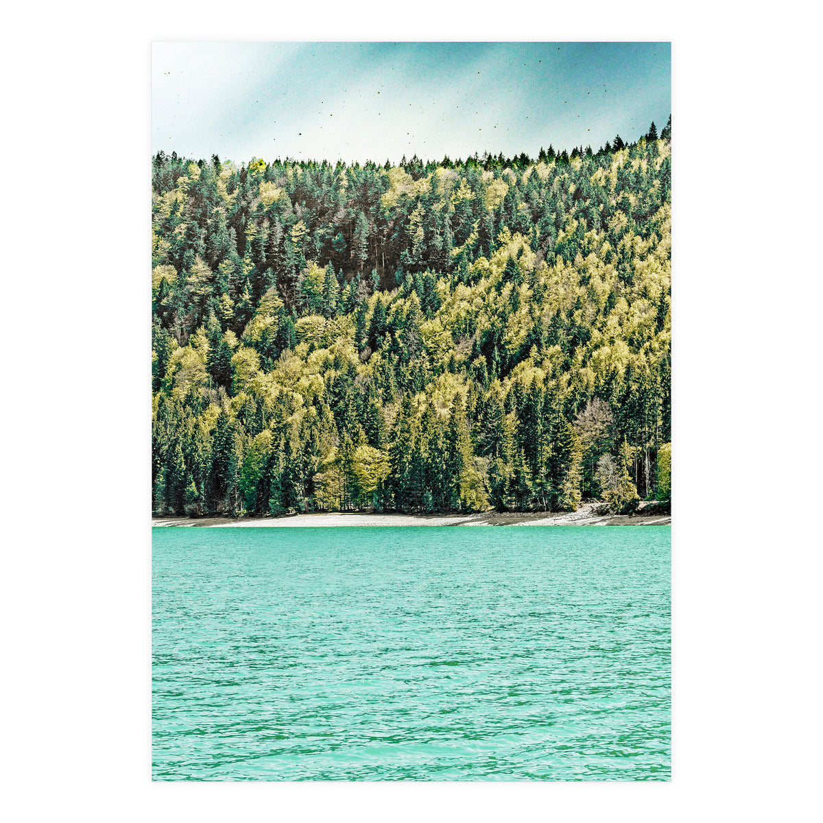 Lake Side (Print Only)