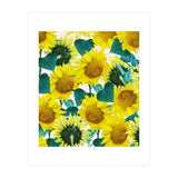 Sunflower (Print Only) thumbnail