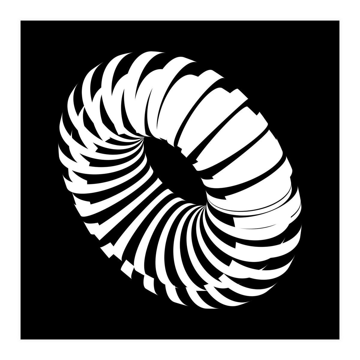 Kinetic_Black (Print Only)