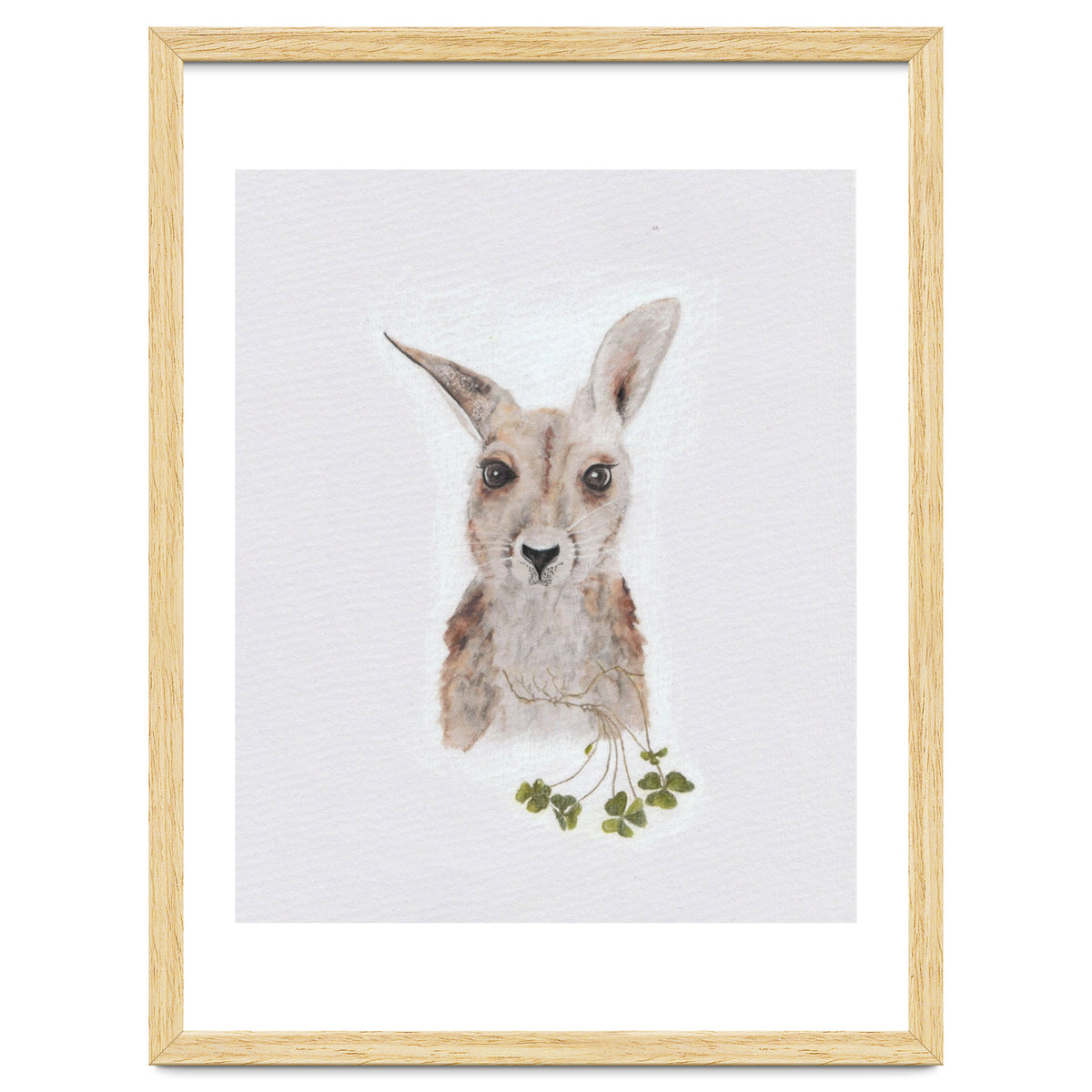 Wallaby - Australian Animal Series