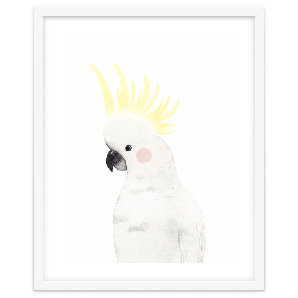 Sweet Cockatoo