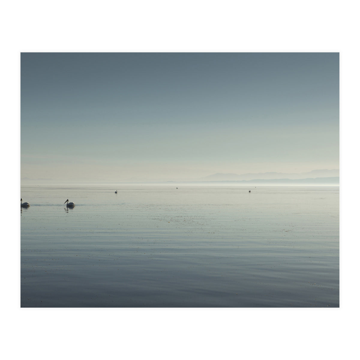 The Salton Sea (Print Only)