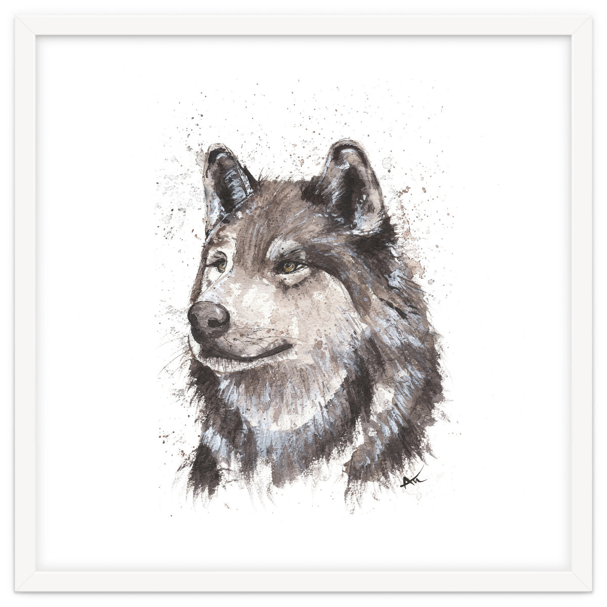 Wolf - Wildlife Collection