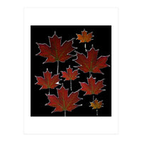 Red Autumn Leaves on Black Ground. (Print Only)