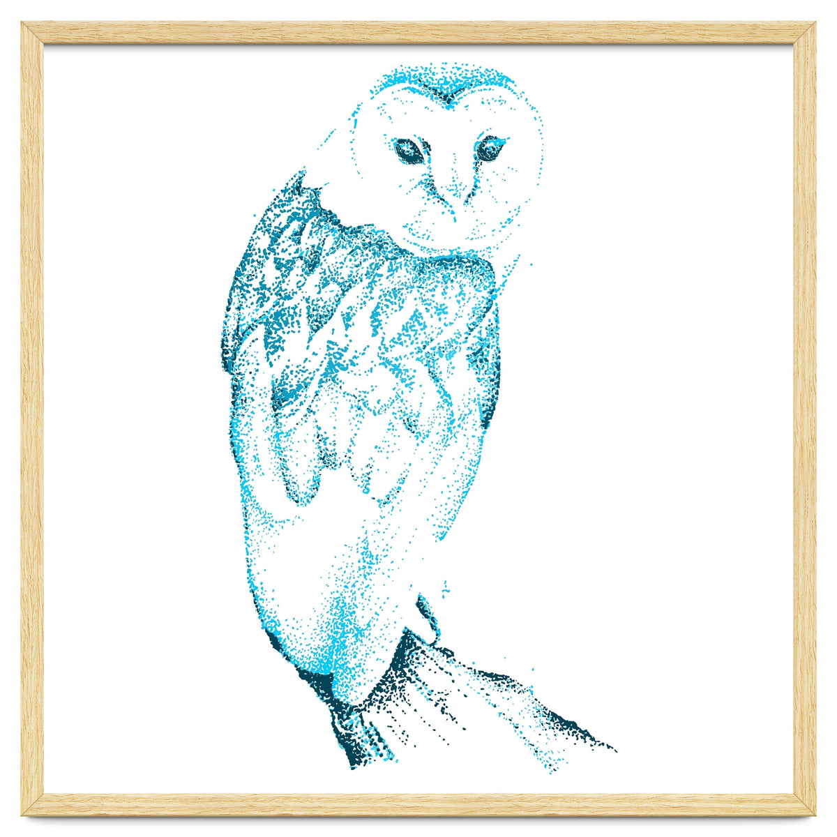 Barn Owl in Teal