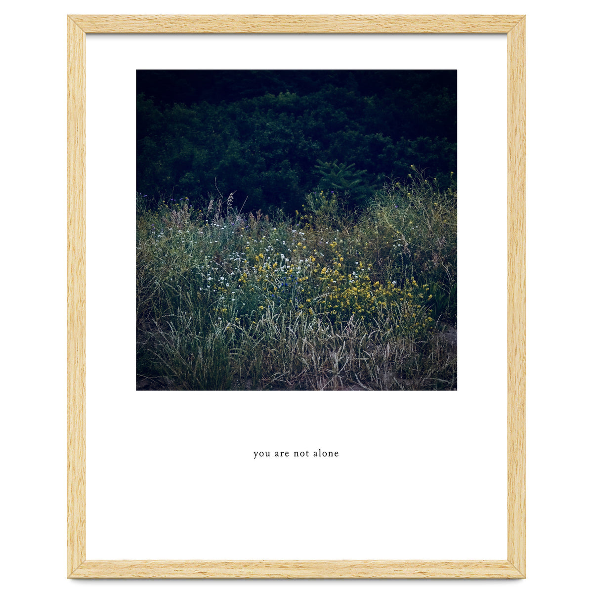 you are not alone - Nature Photography