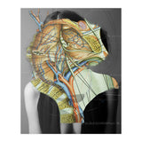 Crazy Woman 210 (Print Only) thumbnail