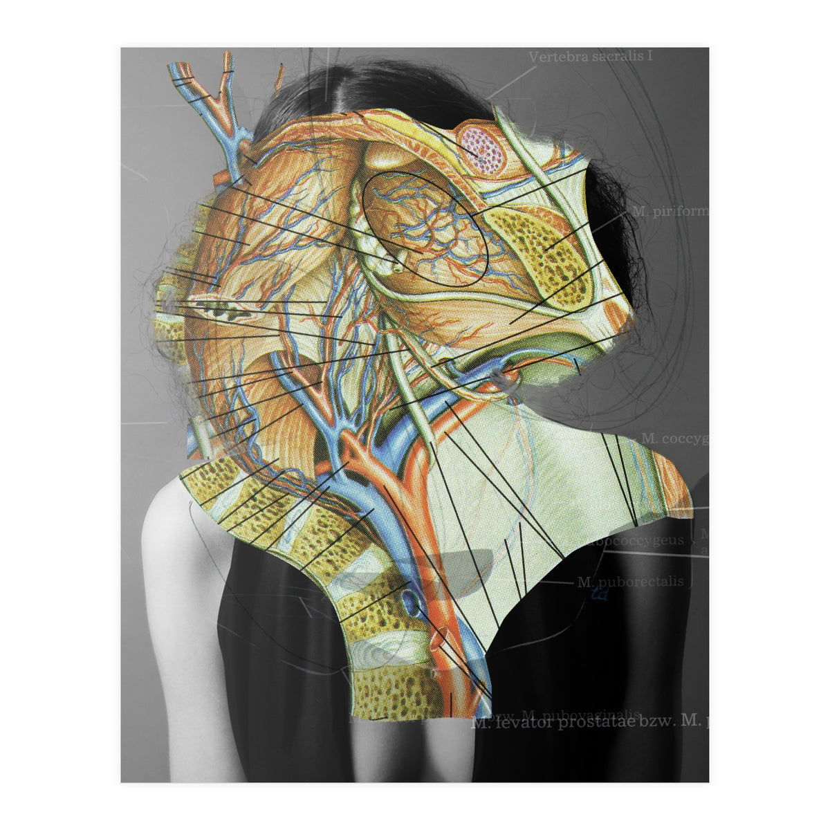 Crazy Woman 210 (Print Only)