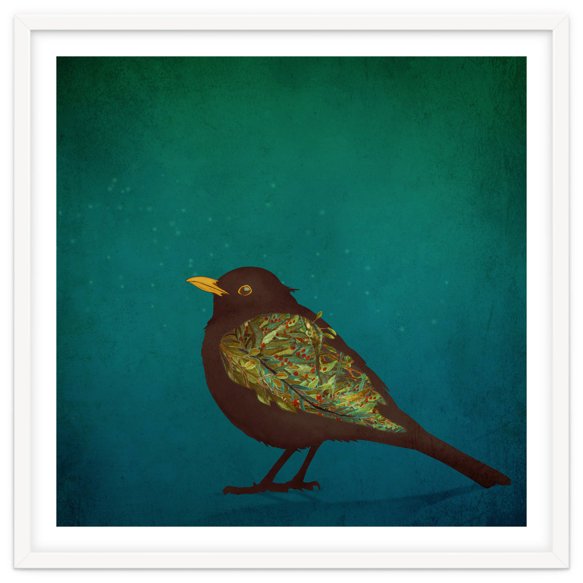 Camouflage: The Blackbird