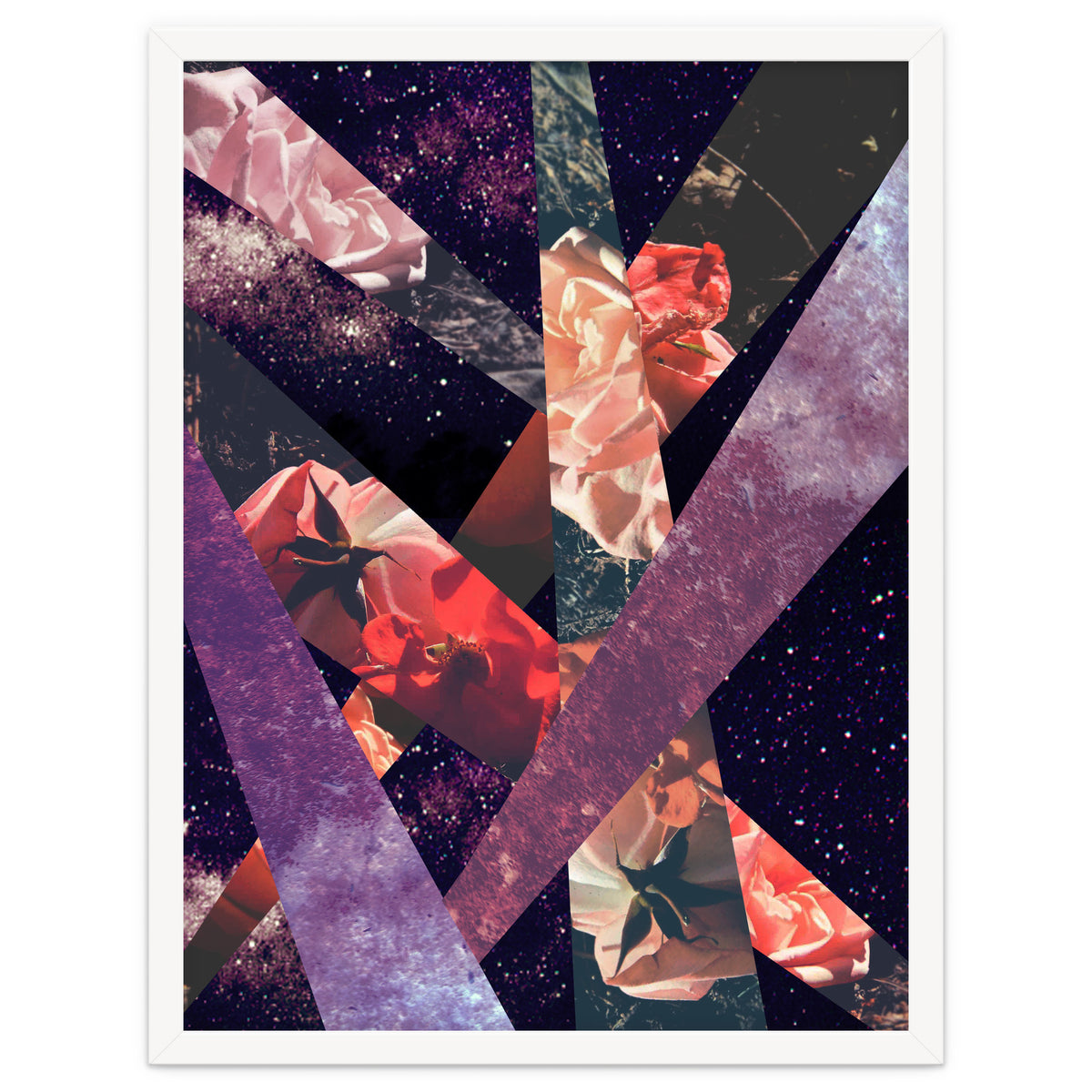 Roses In The Galaxy