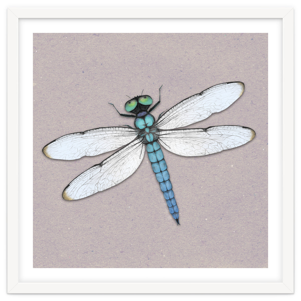 Blue dragonfly