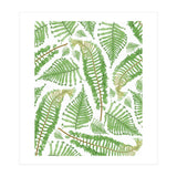 Ferna (Print Only) thumbnail