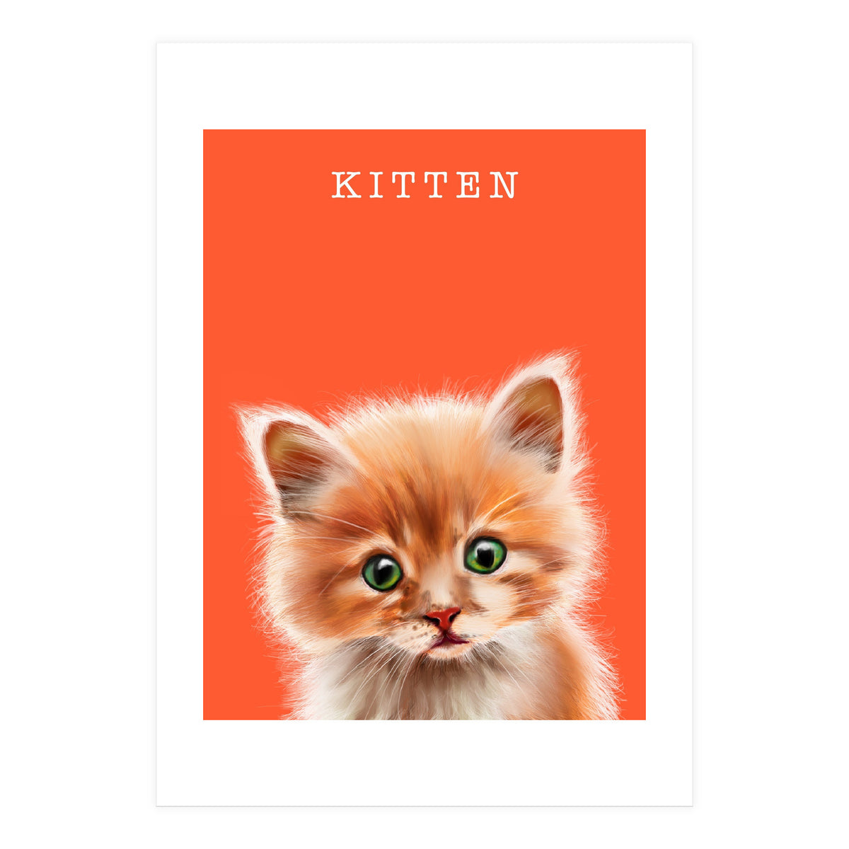 Kitten (Print Only)