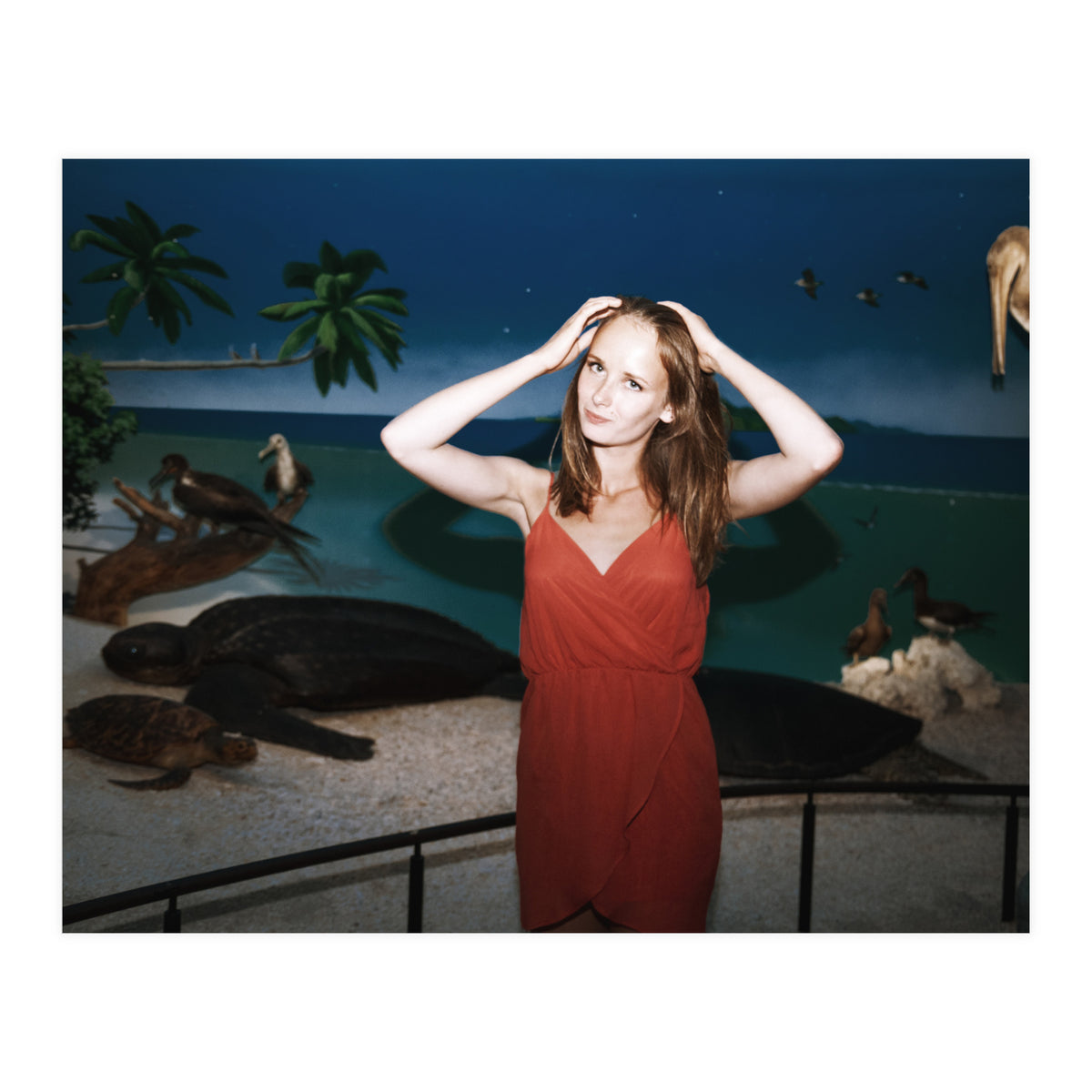 Galapagos (Print Only)