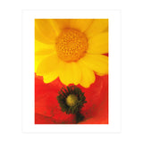 SPRING LOVE (Print Only) thumbnail
