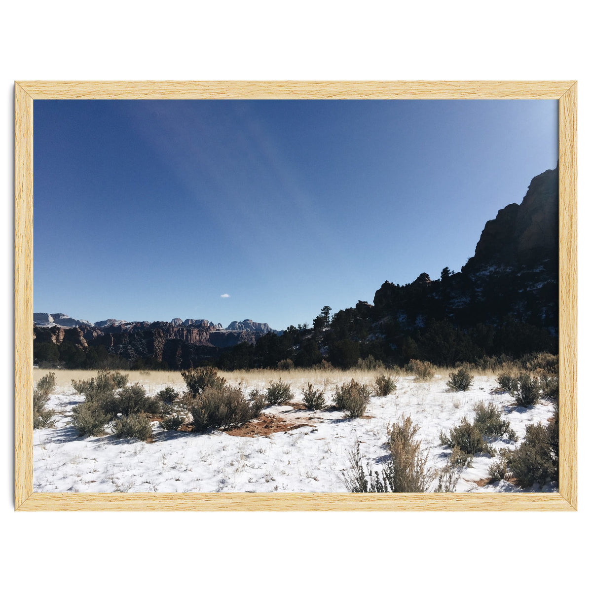 Zion National Park II