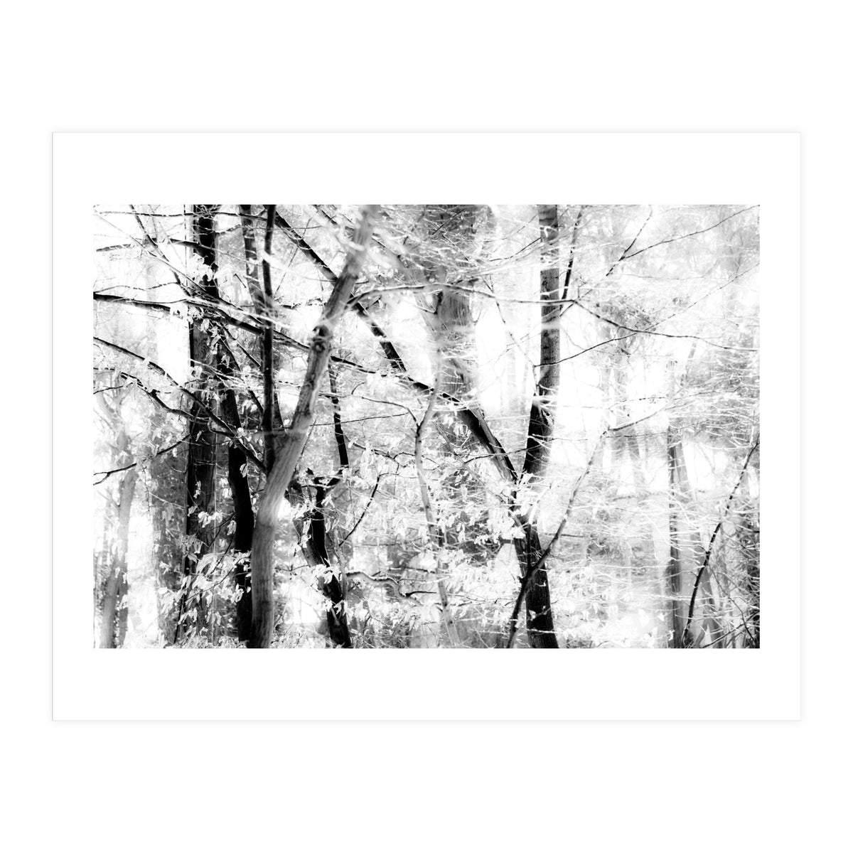 tree breeze (Print Only)