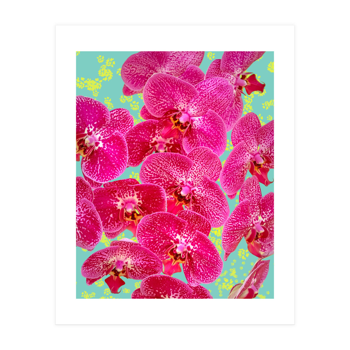 Finding My Way Back To Myself, Botanical Nature Plants Floral, Flowers Garden Colorful Boho Painting Summer Blossom (Print Only)