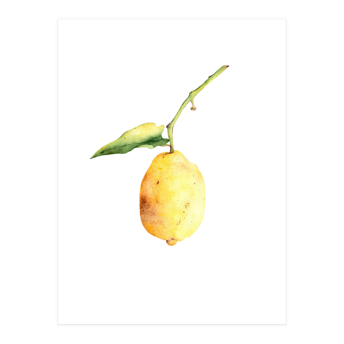 Lemon (Print Only)