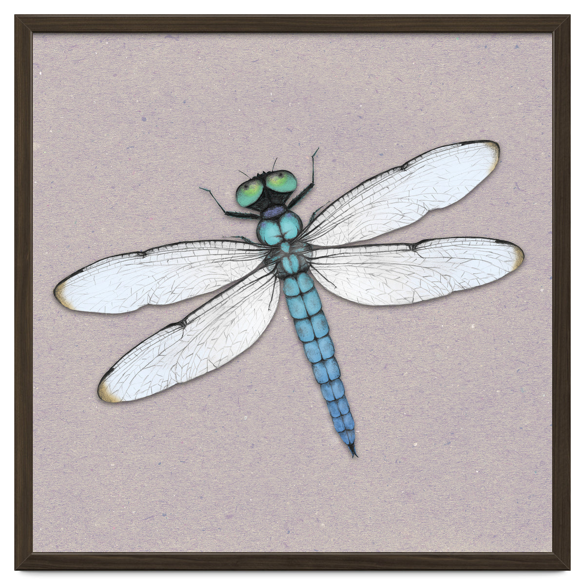 Blue dragonfly