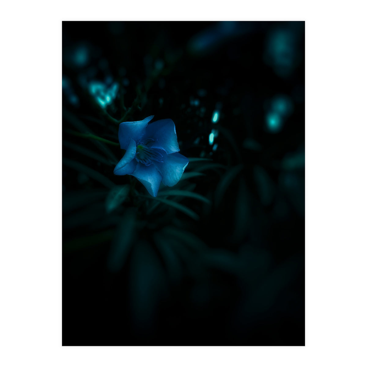 Shining Blue Floral (Print Only)