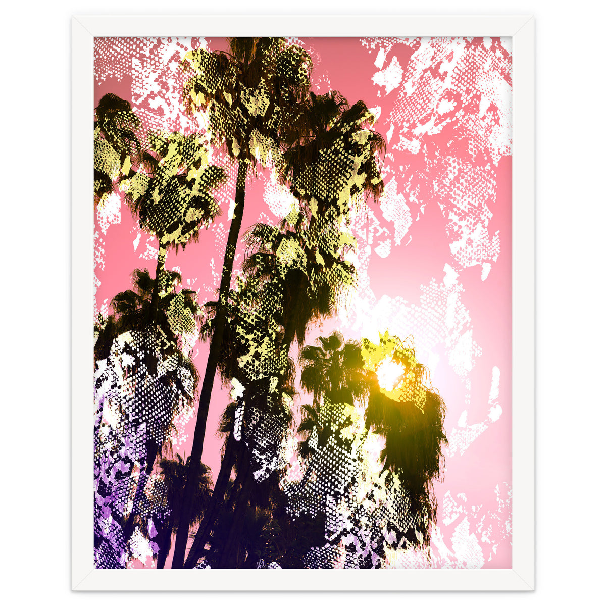 Snake sunset in paradise