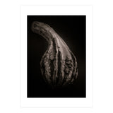 Gourds No 2 (Print Only) thumbnail