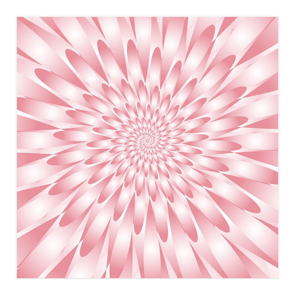 Spiral Pink Flower  (Print Only)