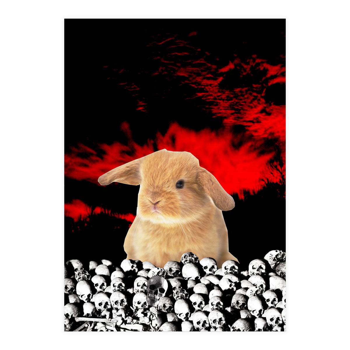 Bunny Of The Apocalypse (Print Only)