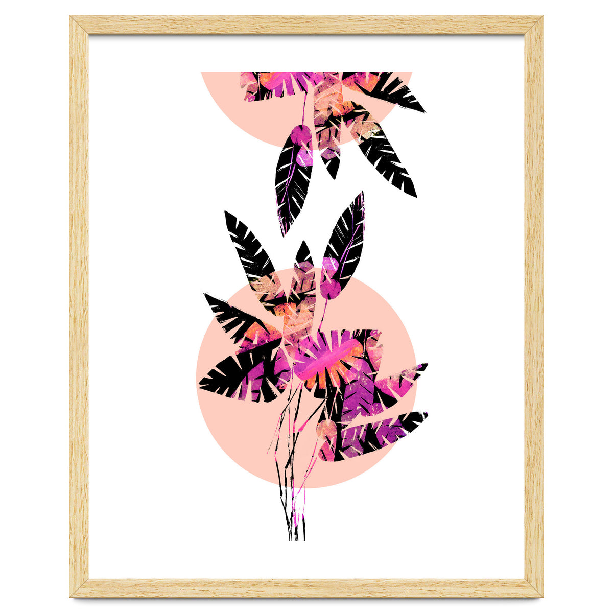 Pink Plants on Coral