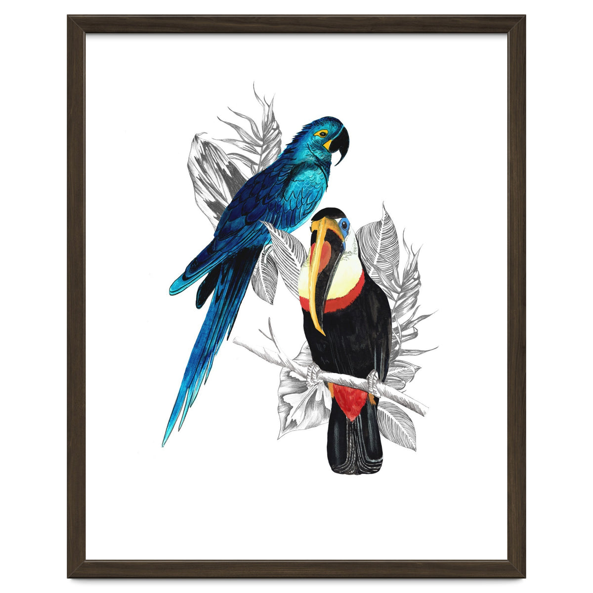 The Toucan and the Parrot