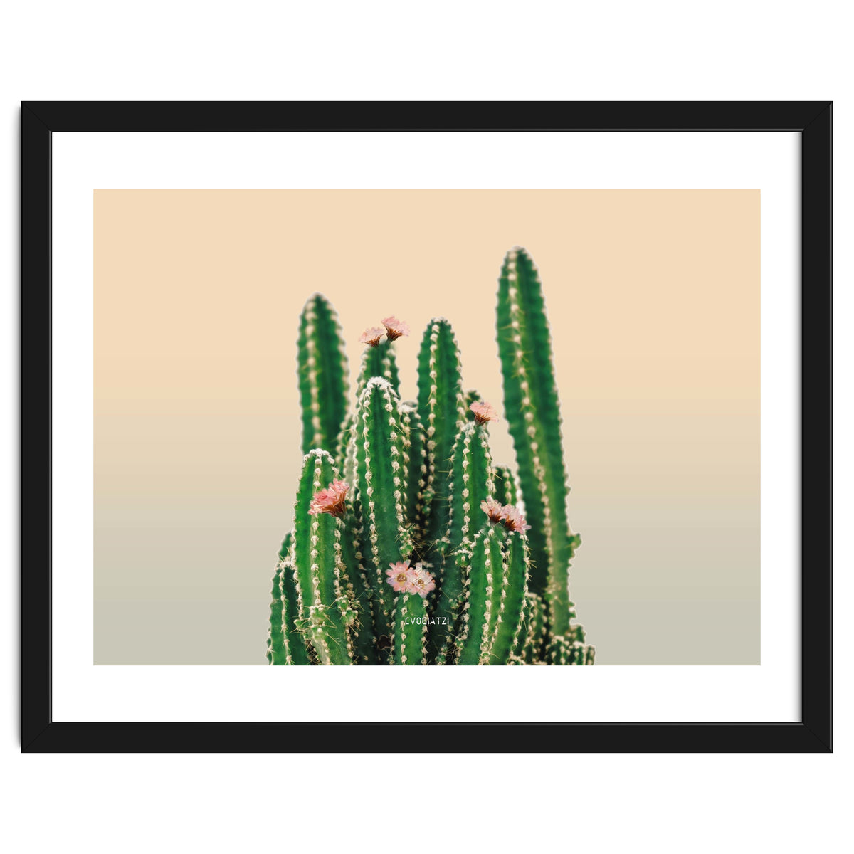 Flowered Cactus