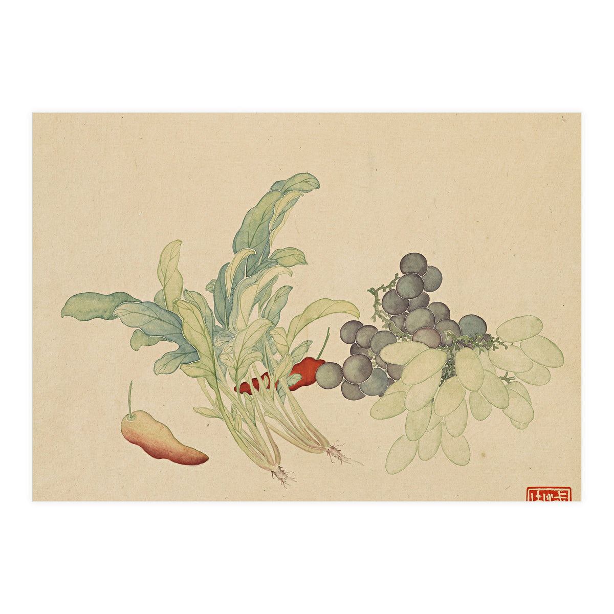 Wang Chengyu ~ Flowers And Vegetables, Vegetables, Fruits, Peppers, Millet Hot, Grapes, Spinach (Print Only)