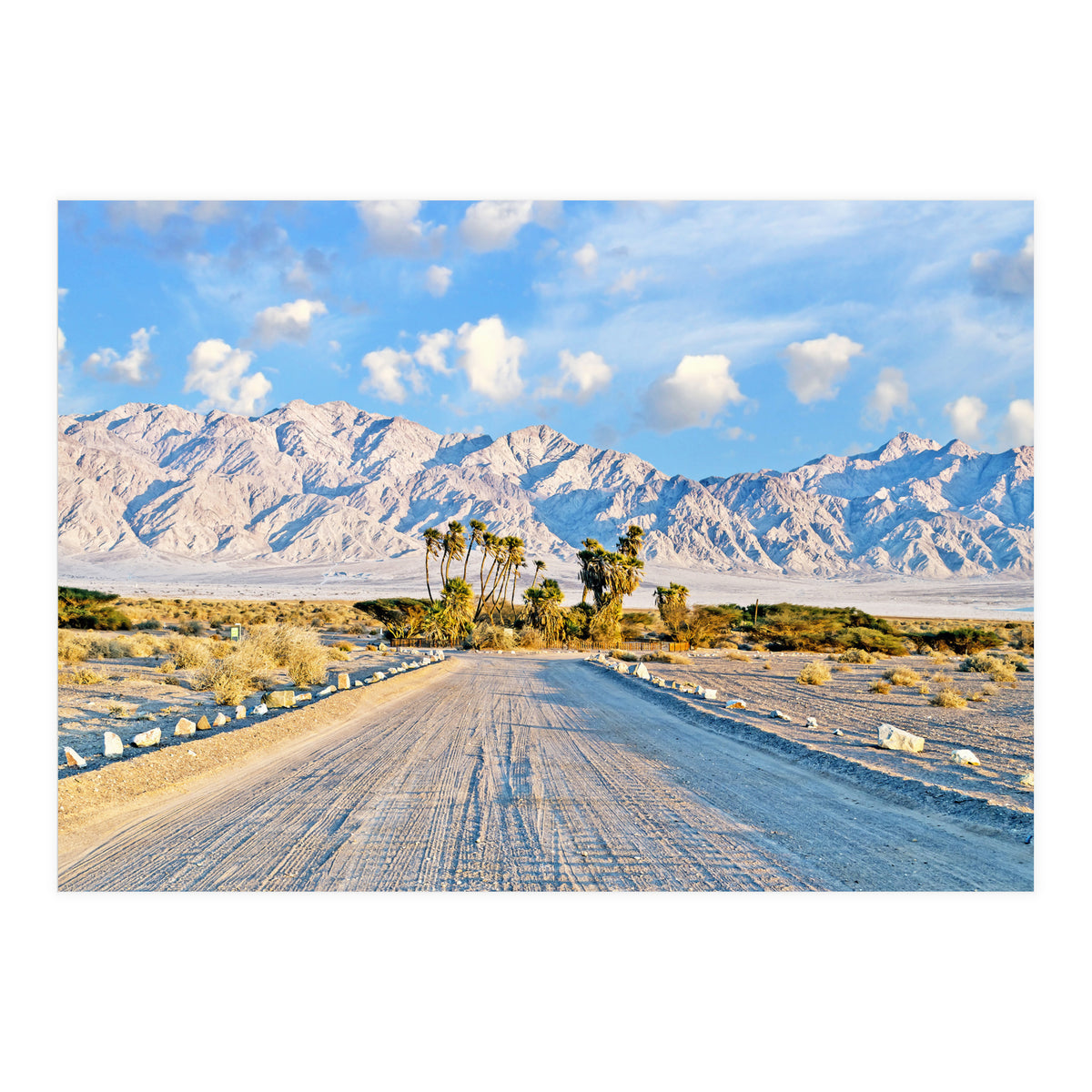 Summer Scenic (Print Only)