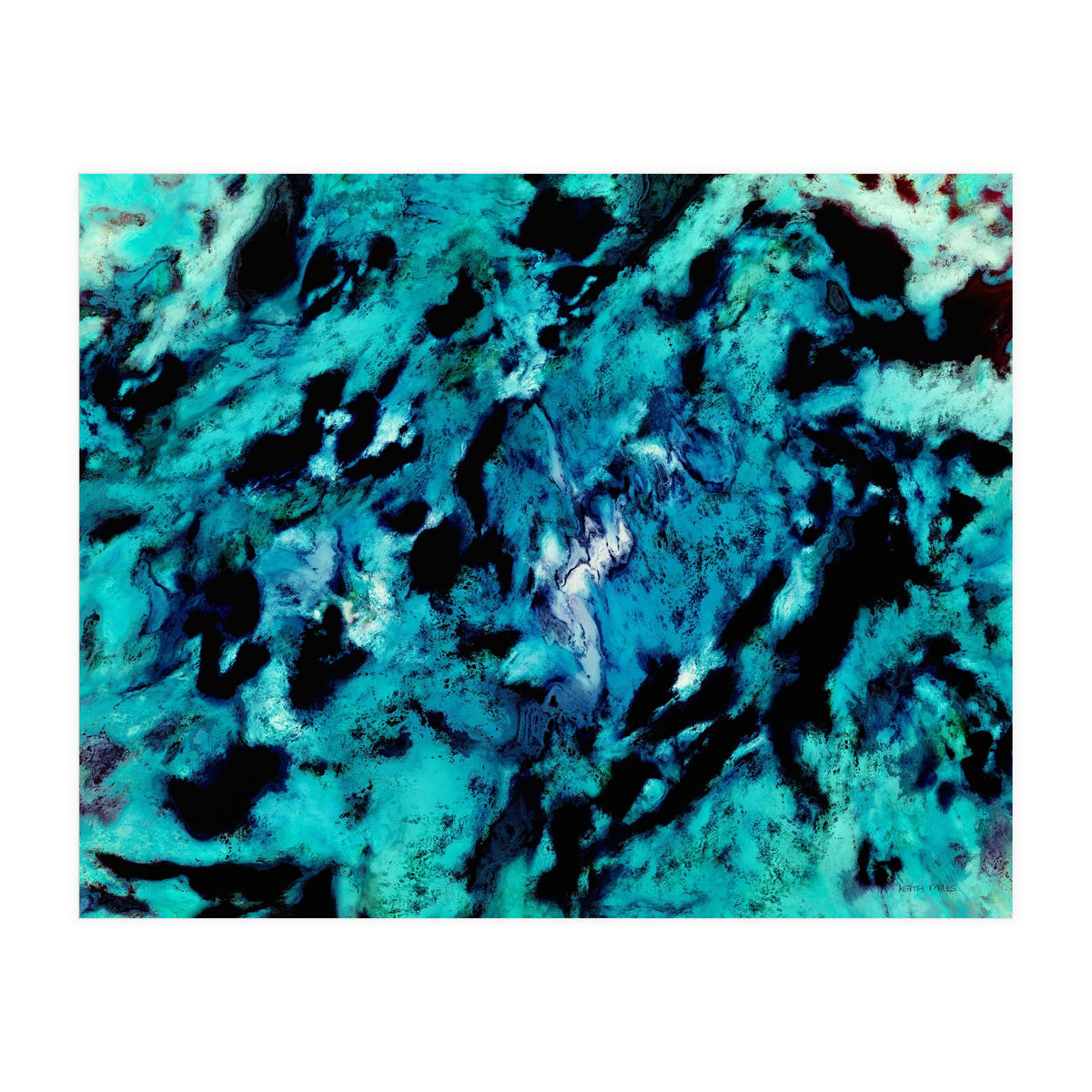 Distinguishing Marks (Print Only)