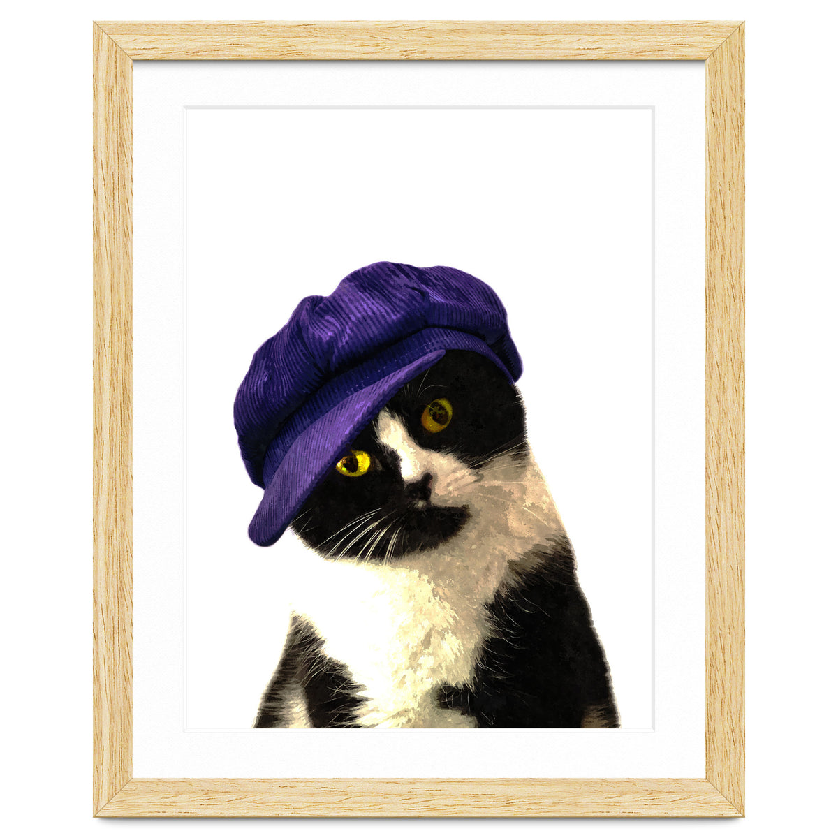 Cat Blue Hat