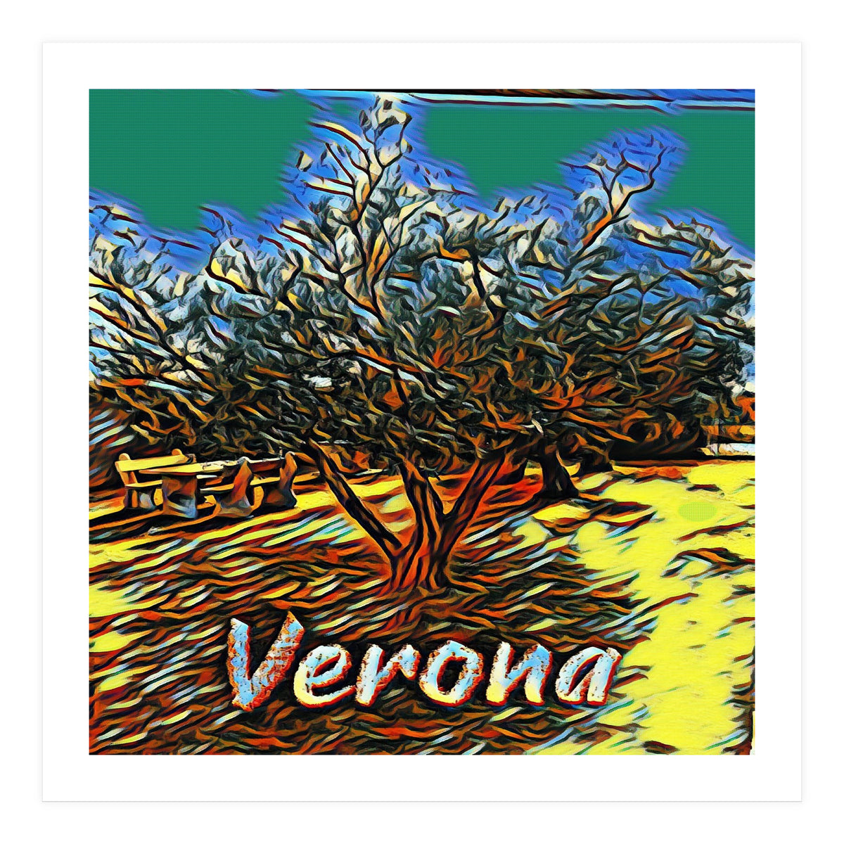 Colorful Olive tree in Verona, Italy. (Print Only)